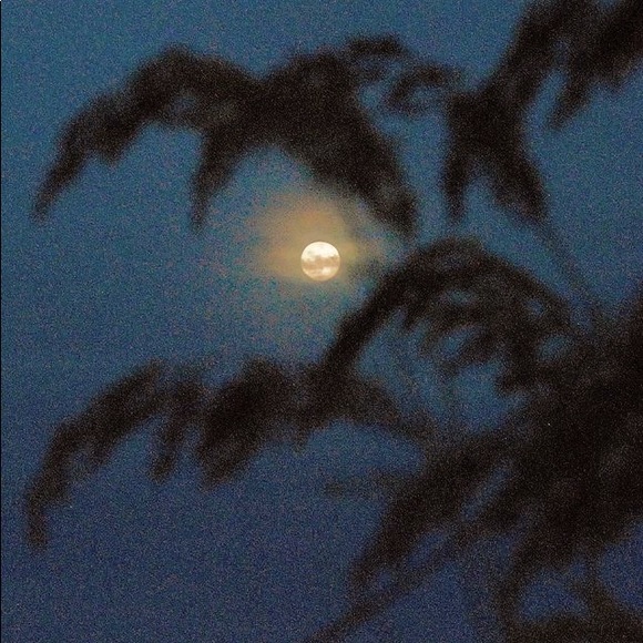 nyl - Picture 1 of 1